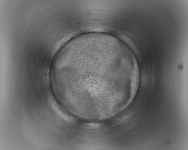 X0000111900394200908171243