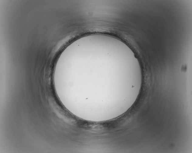 X0000111900395200908171243