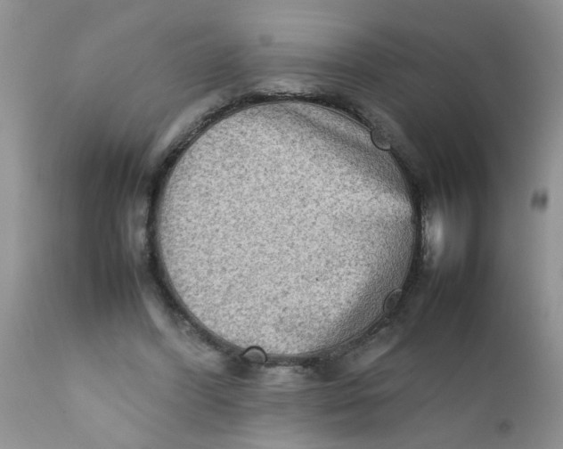 X0000111900396200908171243