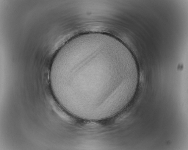 X0000111900397200908171243