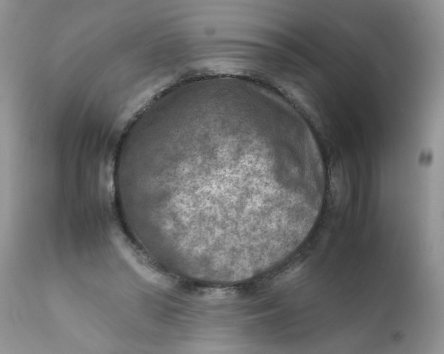 X0000111900398200908171243