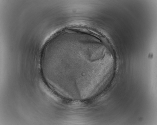 X0000111900399200908171243