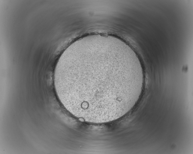 X0000111900401200908171243