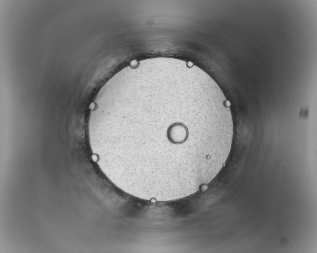 X0000111900403200908171243