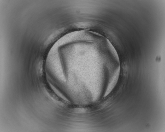 X0000111900404200908171243