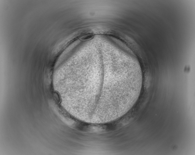 X0000111900405200908171243