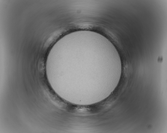 X0000111900407200908171243