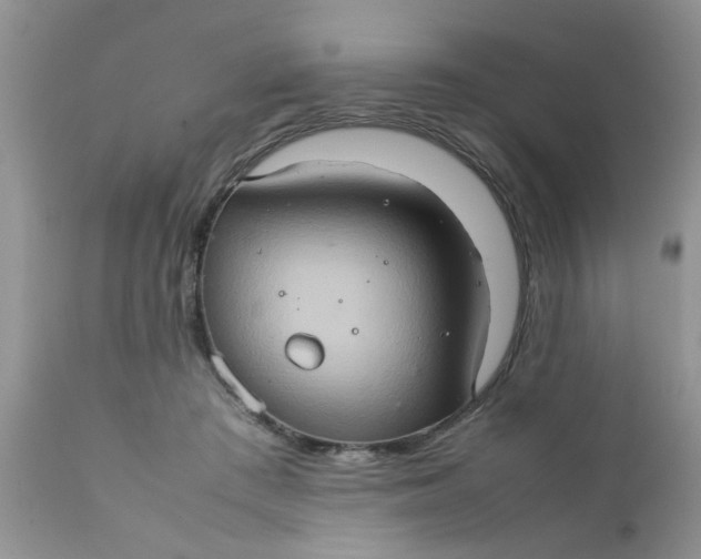 X0000111900409200908171243