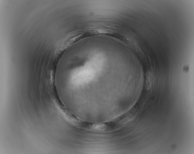 X0000111900410200908171243