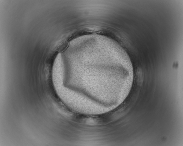 X0000111900412200908171243