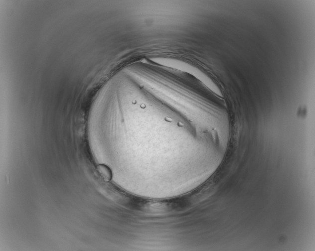 X0000111900413200908171243