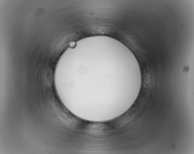 X0000111900414200908171243