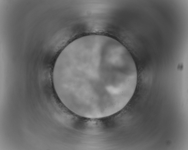 X0000111900415200908171243