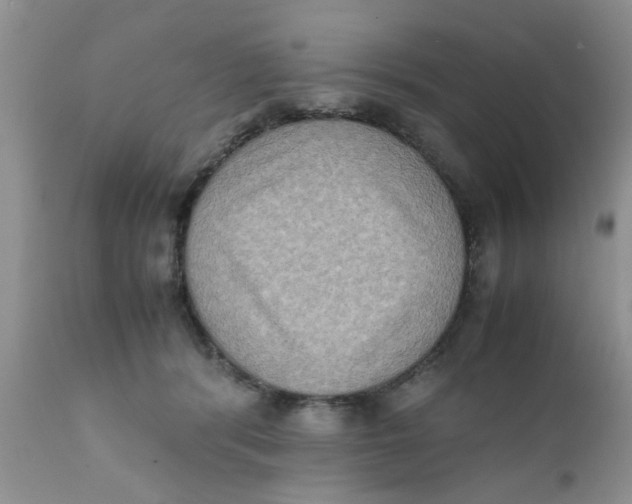 X0000111900416200908171243