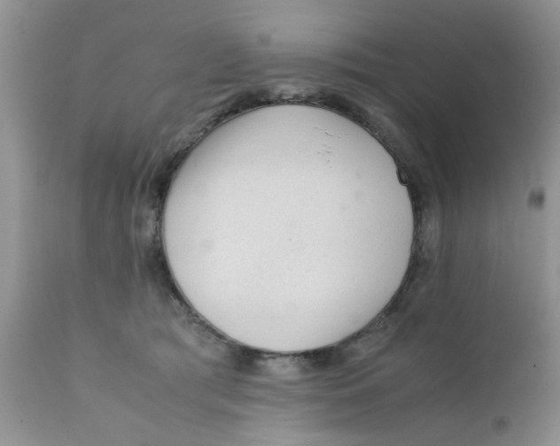 X0000111900417200908171243