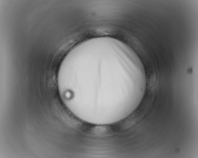 X0000111900418200908171243