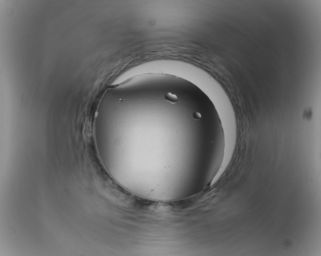 X0000111900419200908171243