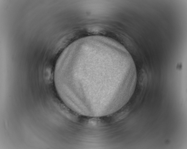 X0000111900420200908171243