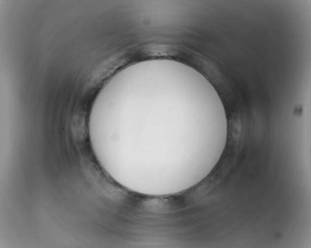 X0000111900422200908171243