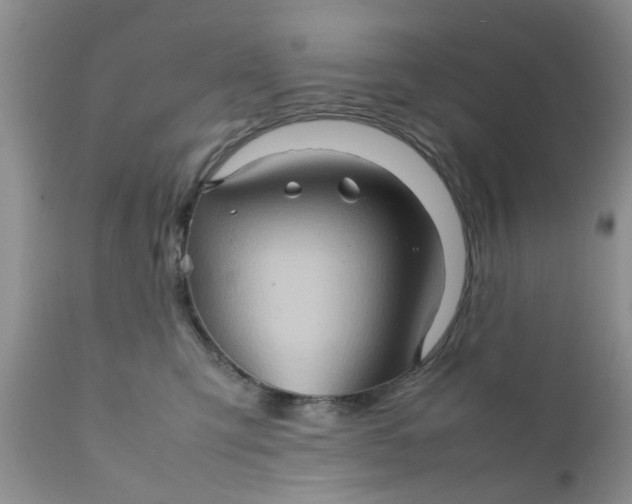 X0000111900423200908171243