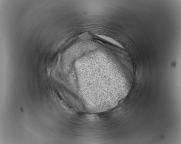 X0000111900424200908171243