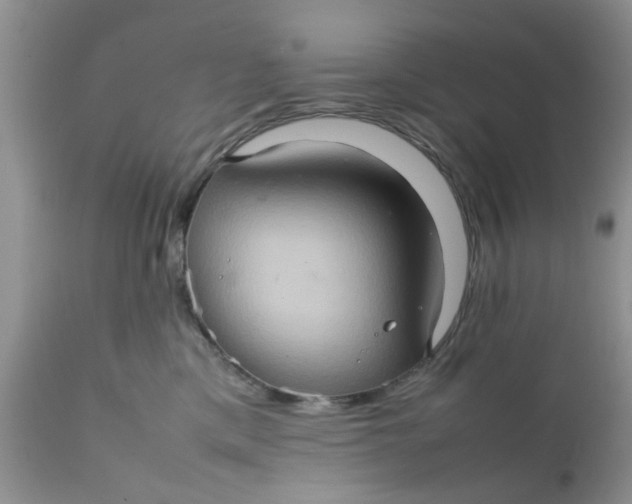 X0000111900425200908171243