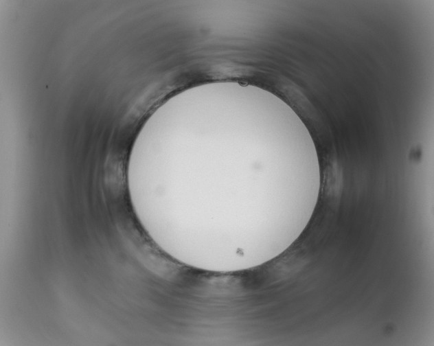 X0000111900426200908171243