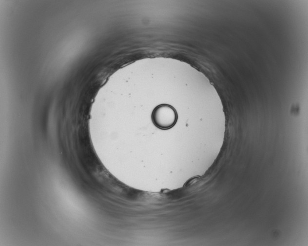 X0000111900429200908171243