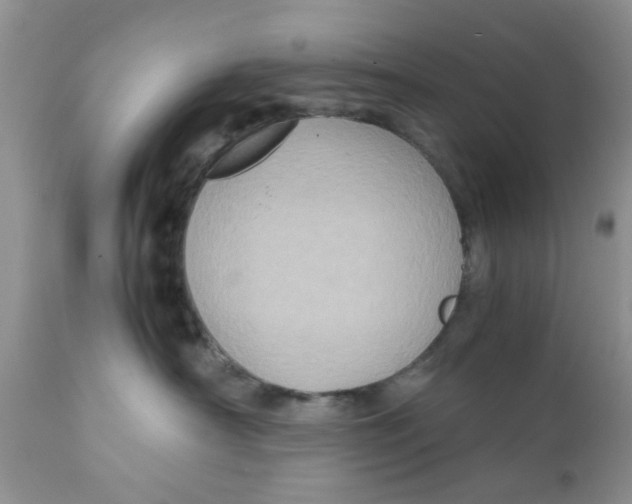 X0000111900430200908171243