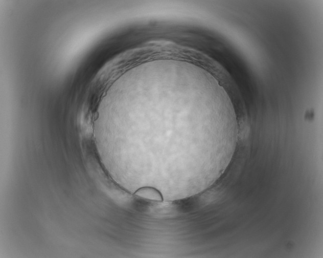 X0000111900431200908171243