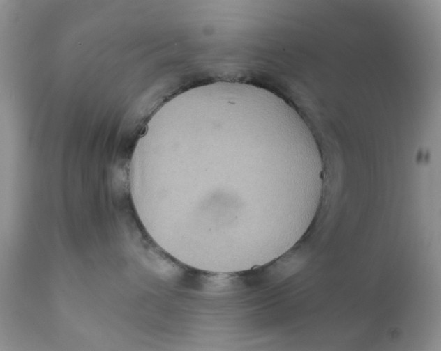 X0000111900432200908171243