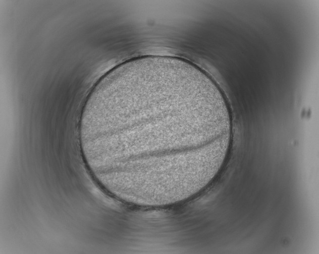 X0000111900433200908171242