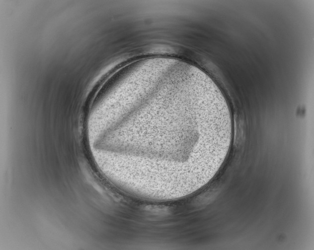 X0000111900435200908171242