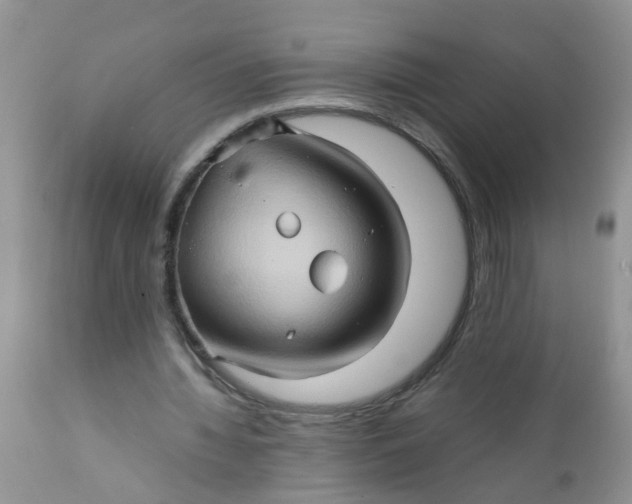 X0000111900436200908171242