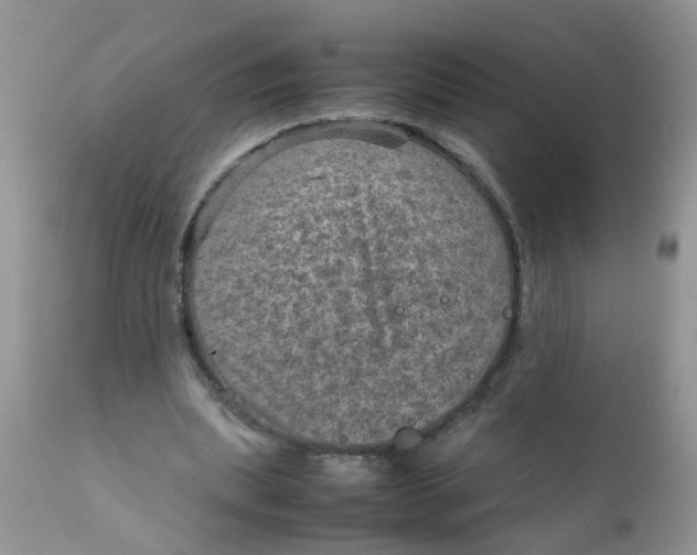 X0000111900439200908171242