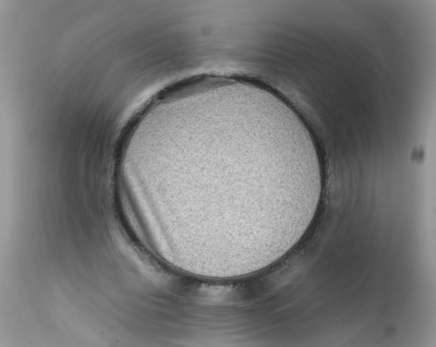 X0000111900440200908171242