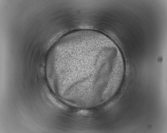 X0000111900441200908171242