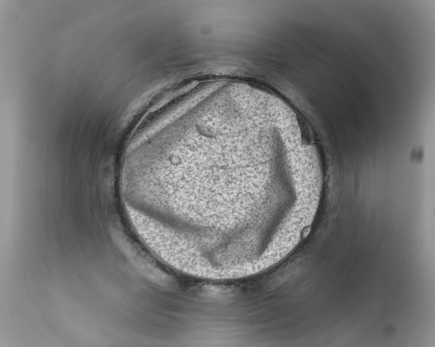 X0000111900442200908171242