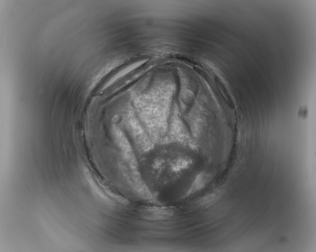 X0000111900443200908171242