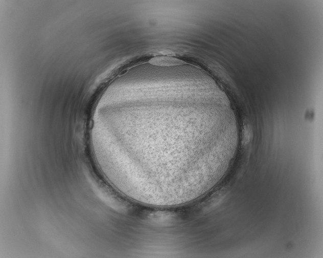 X0000111900444200908171242