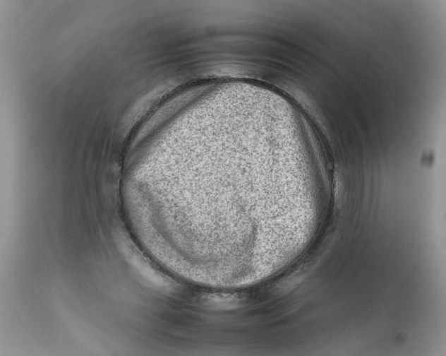 X0000111900445200908171242