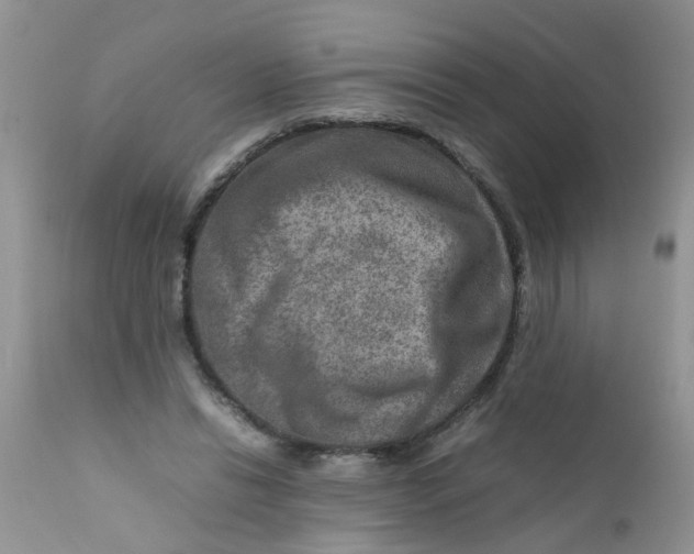 X0000111900446200908171242