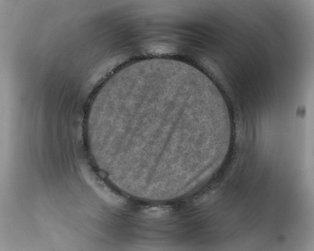 X0000111900447200908171242