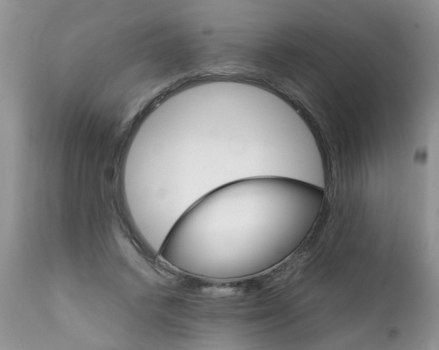 X0000111900448200908171242