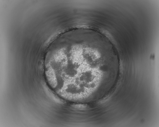 X0000111900449200908171242