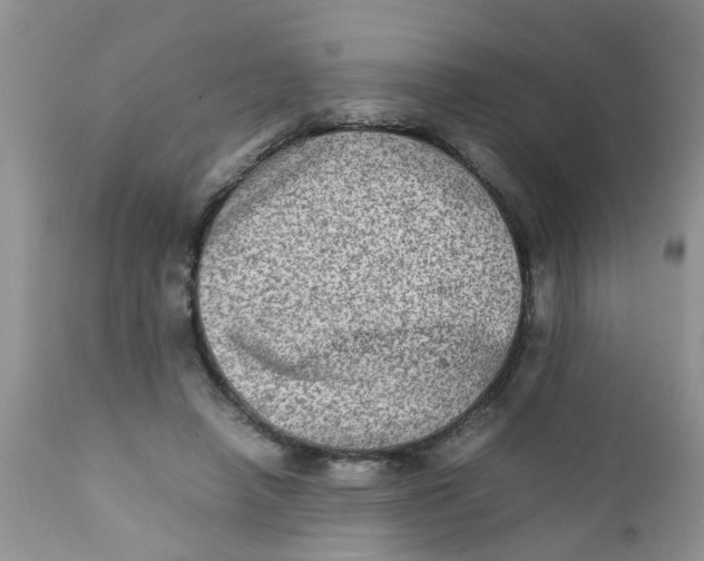 X0000111900450200908171242