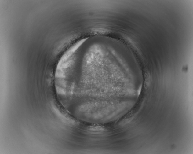 X0000111900451200908171242