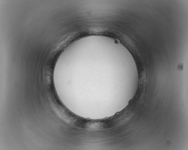 X0000111900452200908171242