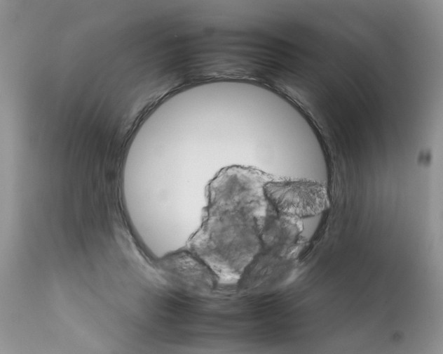 X0000111900453200908171242