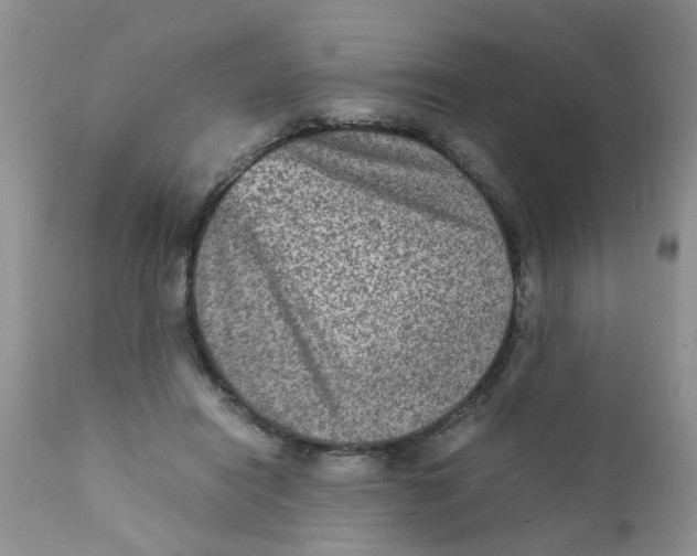 X0000111900454200908171242